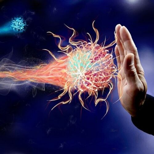 Webinar – 2^ puntata