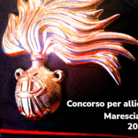 Bando Allievi Marescialli