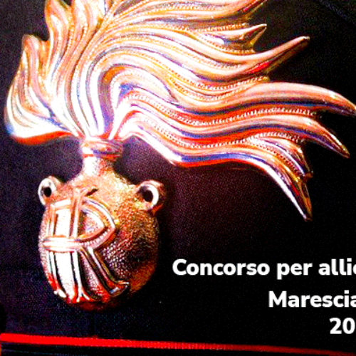 Bando Allievi Marescialli